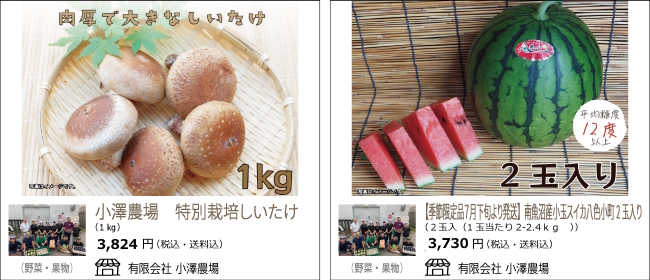 新潟・南魚沼　小澤農場の『特別栽培しいたけ』『南魚沼産小玉スイカ八色小町』【Ocean商店街】